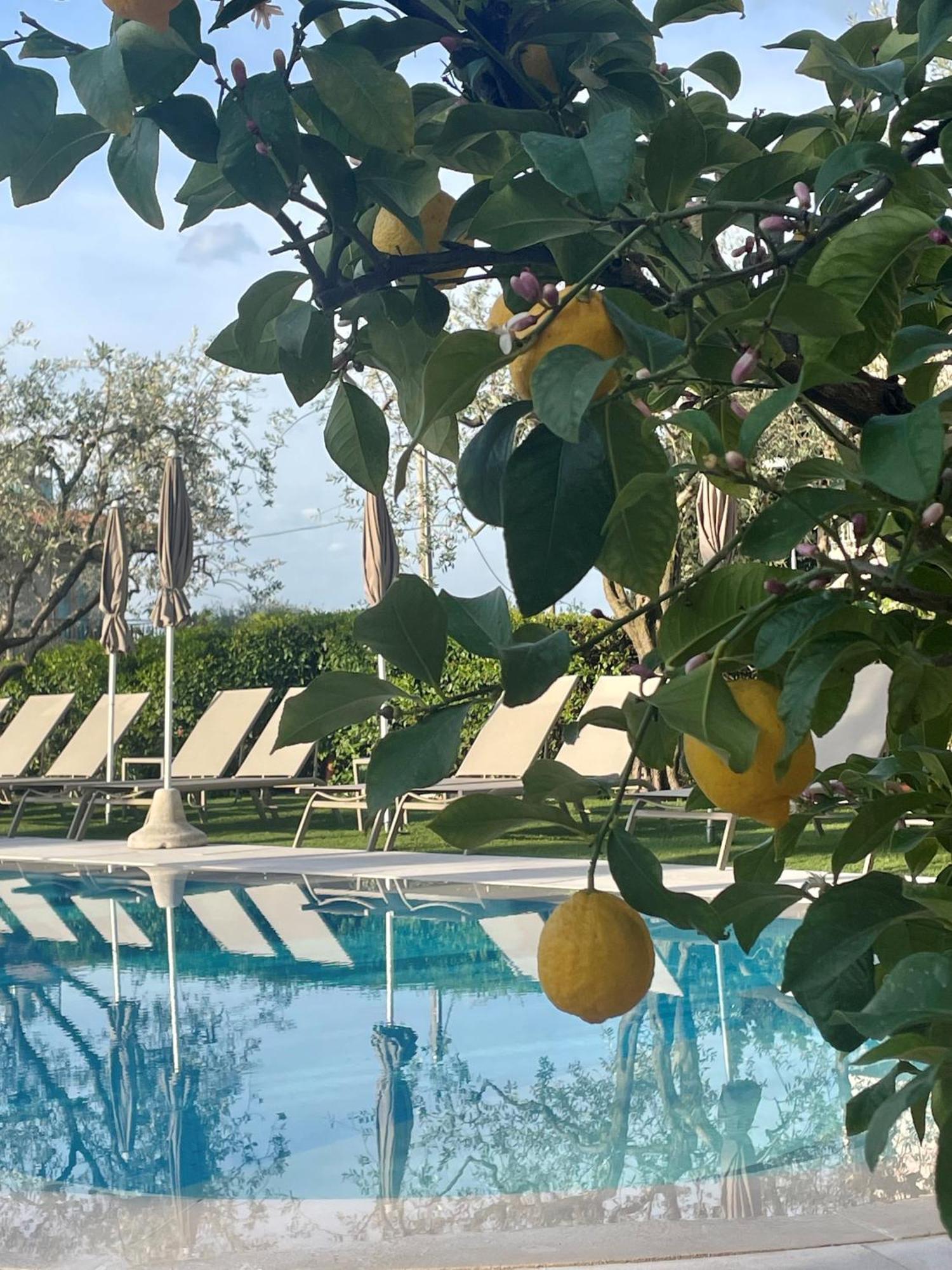 Hotel Al Sole Bardolino Exteriör bild